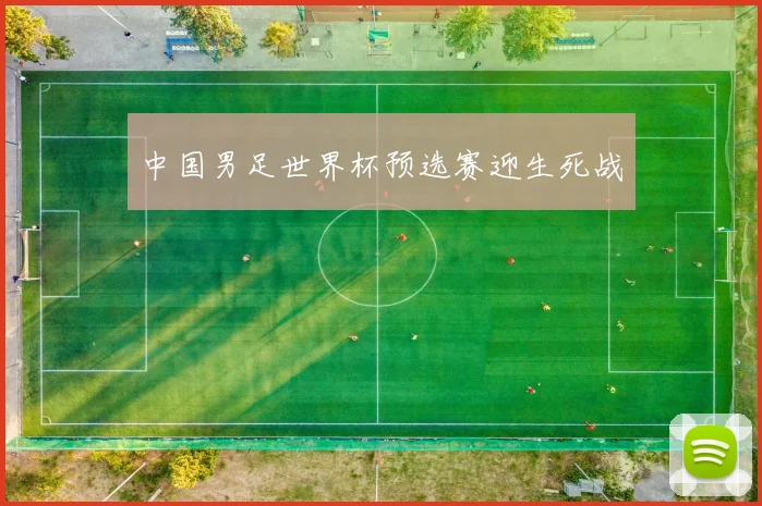 中国男足世界杯预选赛迎生死战