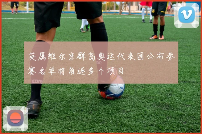 英属维尔京群岛奥运代表团公布参赛名单将角逐多个项目